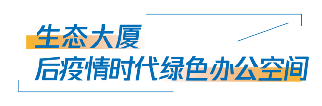 20.png 20.png