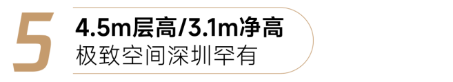 24.png 24.png