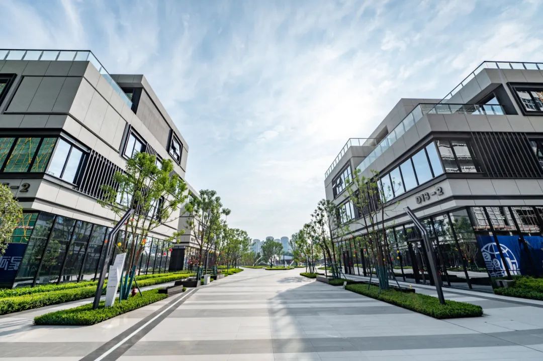 8.jpeg 8.jpeg