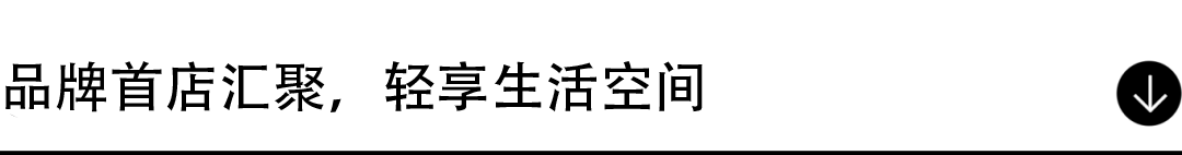 65.png