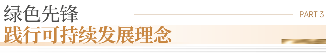 13.png